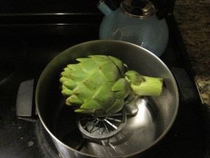 Mmmm...steamed vegetables....