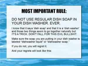 loading dishwashers 02