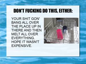 loading dishwashers 09