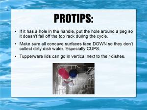 loading dishwashers 11