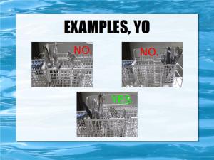 loading dishwashers 17