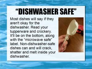 loading dishwashers 19