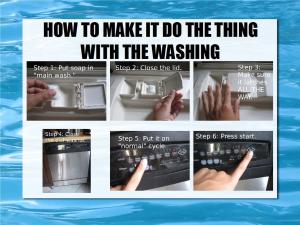 loading dishwashers 21