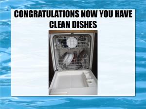 loading dishwashers 22